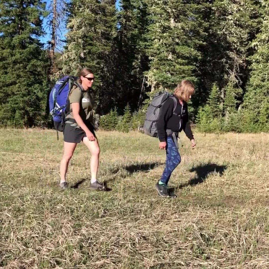 Let's Talk About Poop