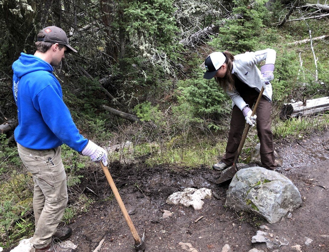 Are you interested in making a difference for Hyalite Canyon?

The Friends of Hyalite is looking for an enthusiastic person to join our Board of Directors team. You can be a part of helping to provide stewardship for this precious outdoor recreation 