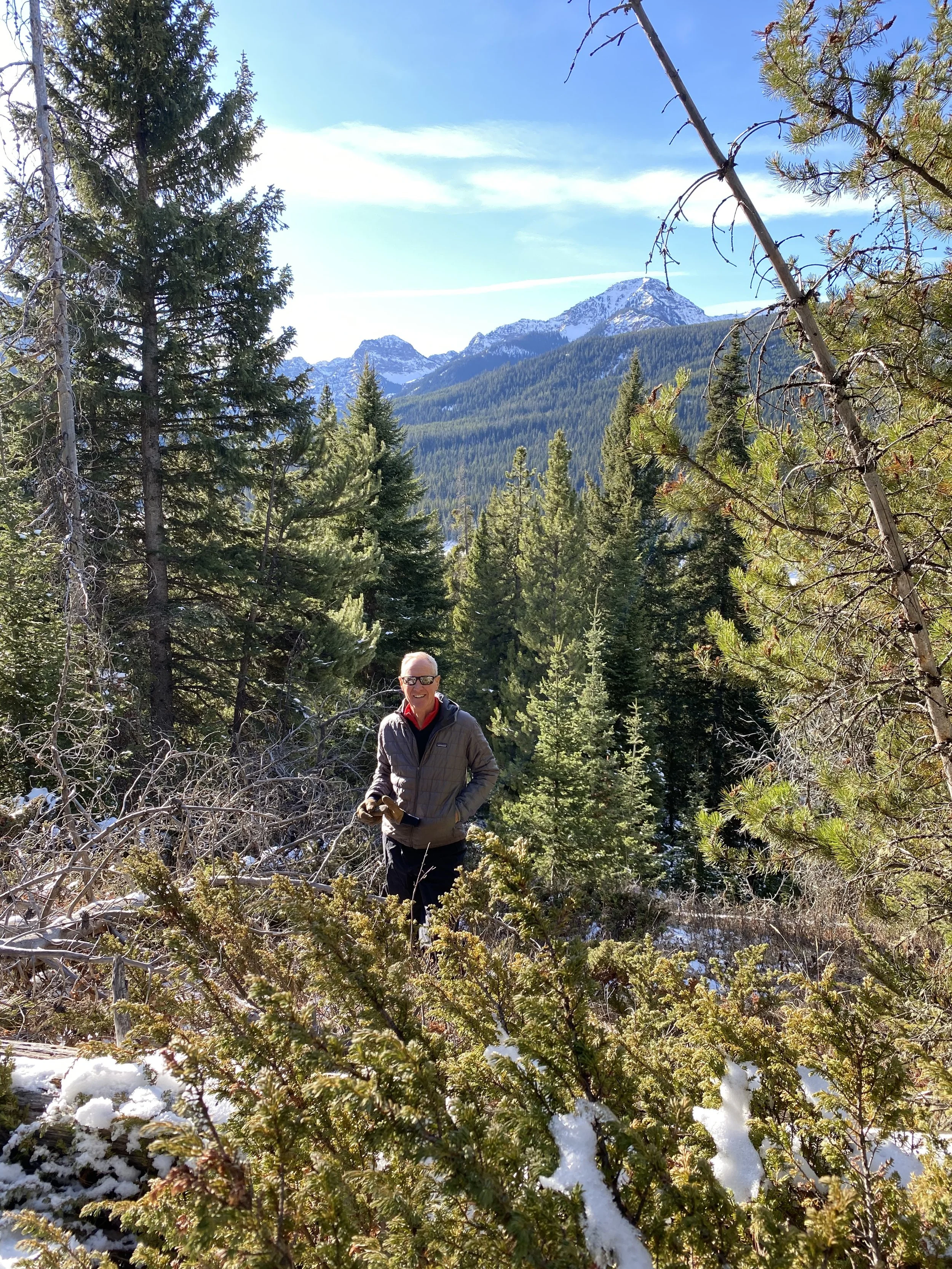 Christmas Tree Cutting Season is Here!
