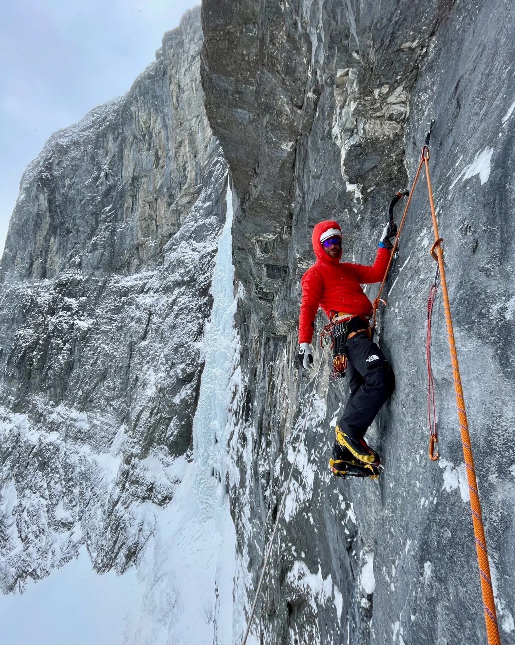 Support FoH on Giving Tuesday - Austin Mallet Fund matching donations