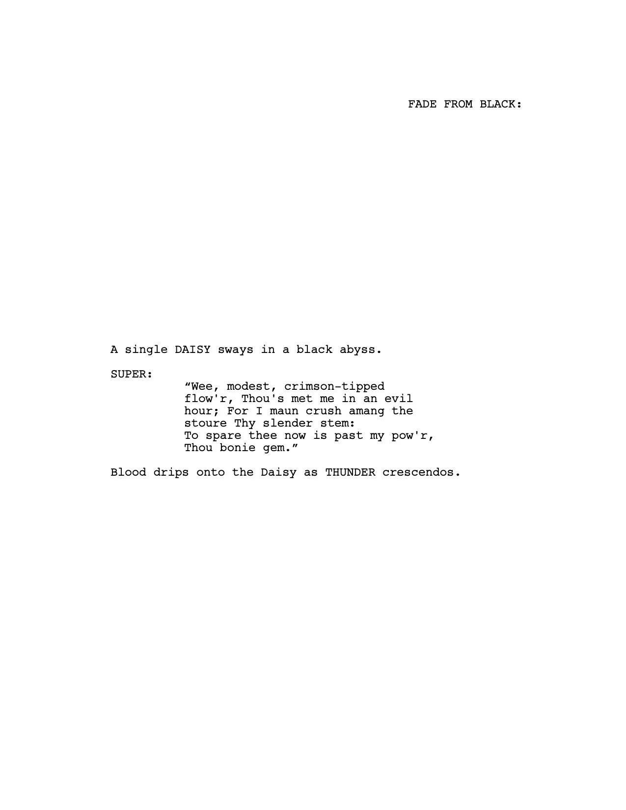 EFW-SHORT p1.jpg