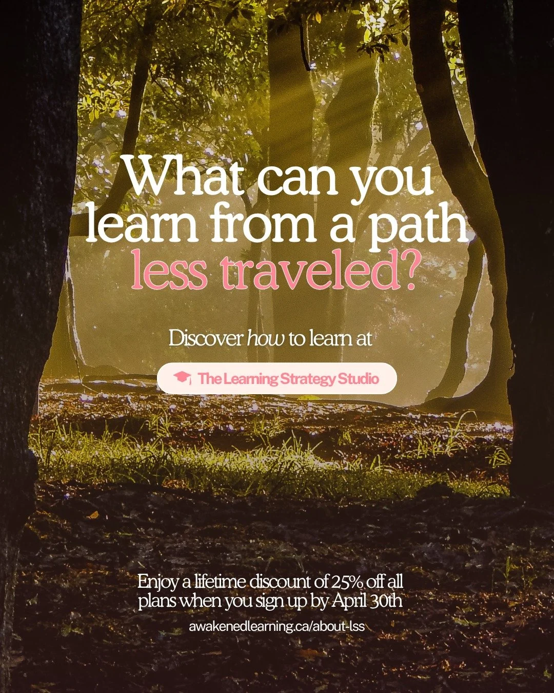 A special deal for a special offering...

As our first month of The Learning Strategy Studio membership wraps, we want to extend a loving offer to join us as a founding member.

$39/month or $117 for 4 months, this is a lifetime offer; when prices ri
