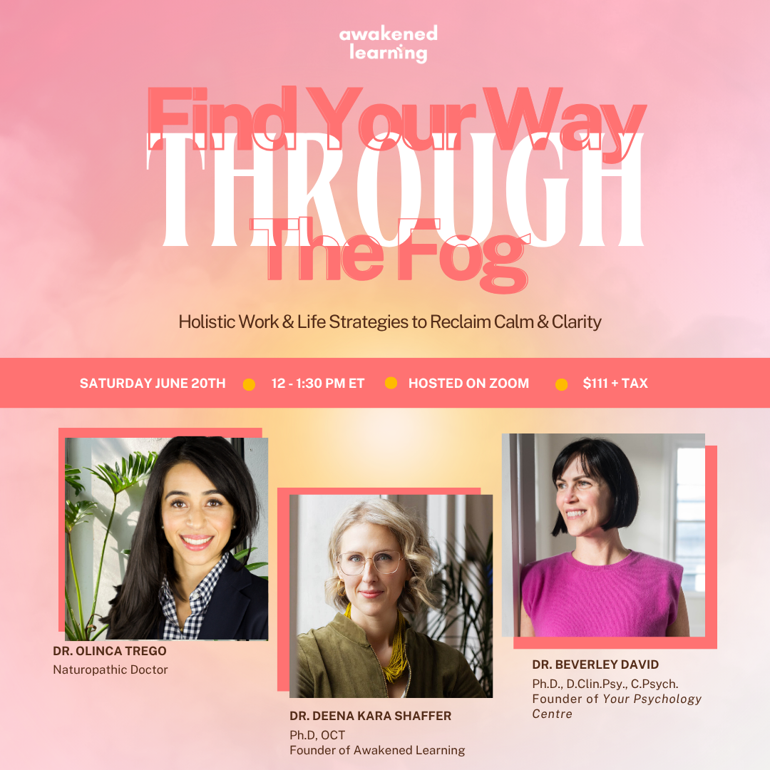 Find Your Way Through The Fog: The Reunion