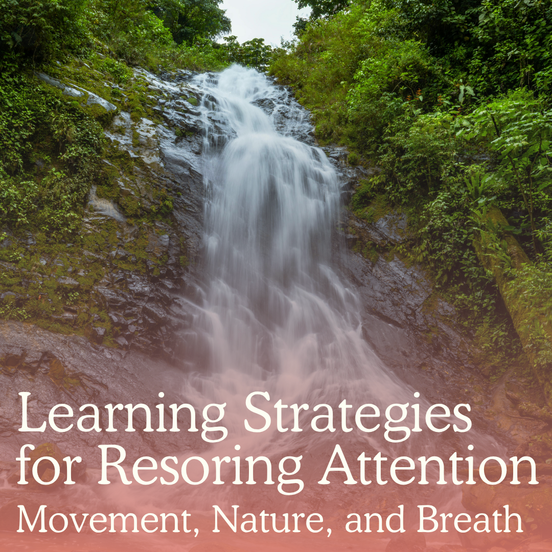 August 2026 - Learning Strategies for Restoring Attention: Movement, Nature, and Breath