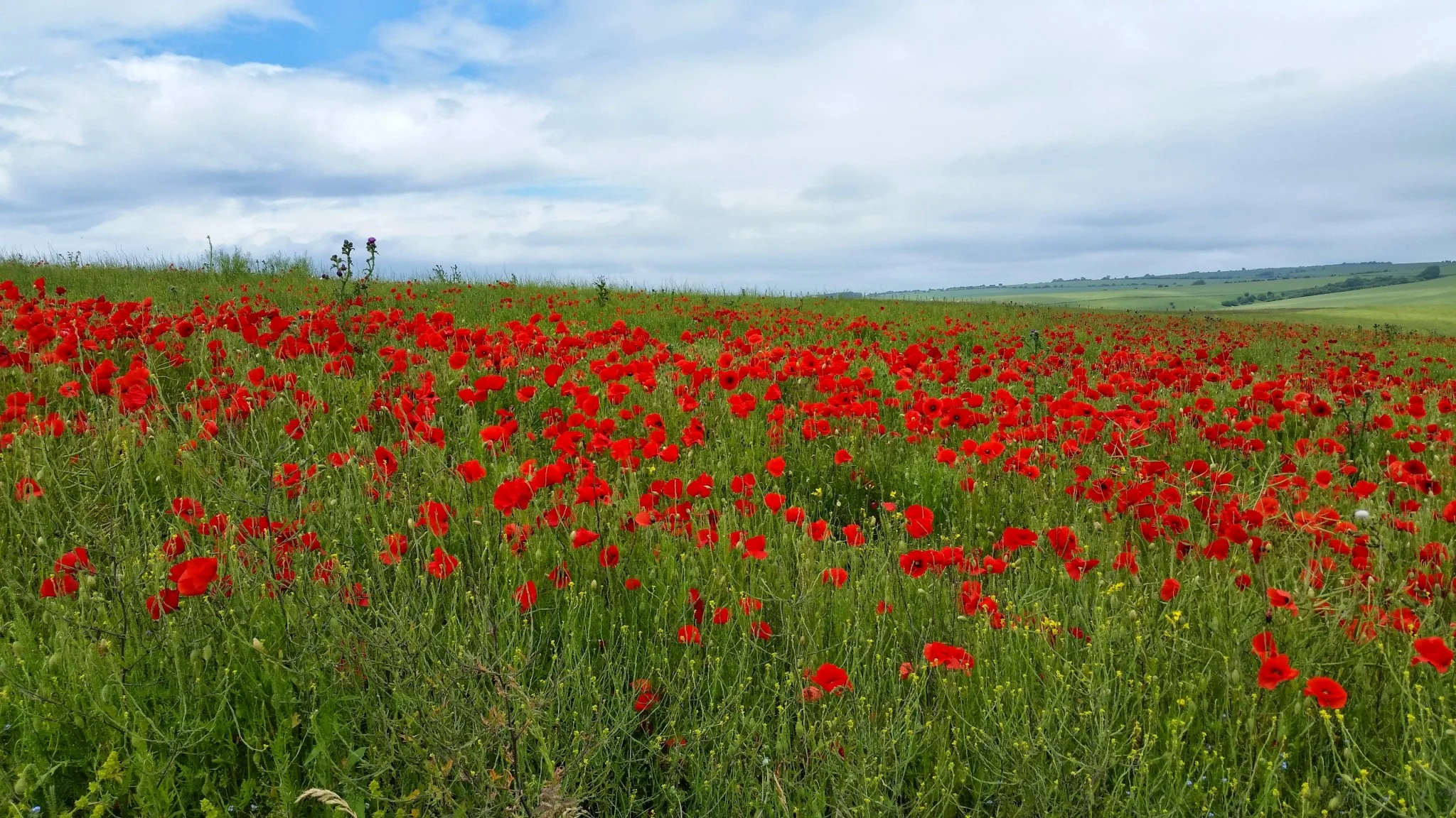 EnGliSH cOuNtRySIde.jpg