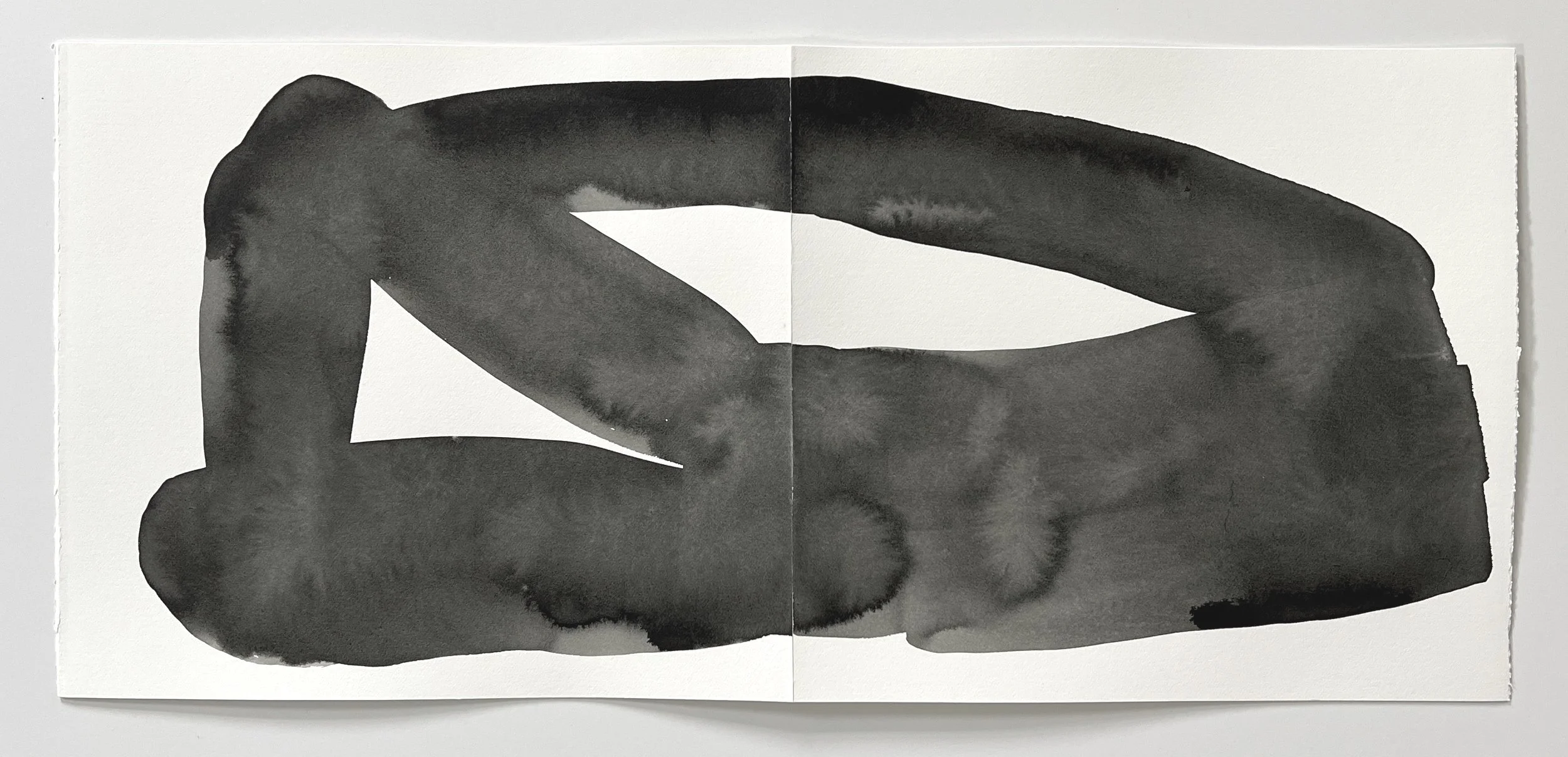 Folded I  2021 ink on paper 10 x 22.25 in