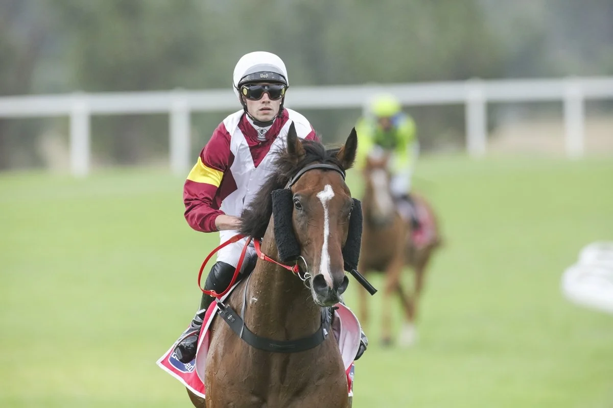 Rosehill Market Analysis  - Key Betting Moves, Market Trends &amp; Race Insights (14th March)