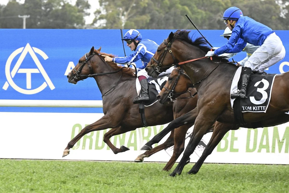 Rosehill Black Book – Future Winners (March 21)