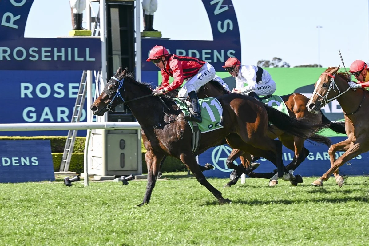 Horses To Follow — Day 2 of The Championships