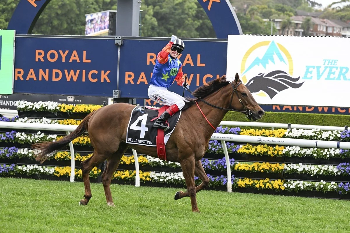 G1 Tips: All Aged Stakes Day