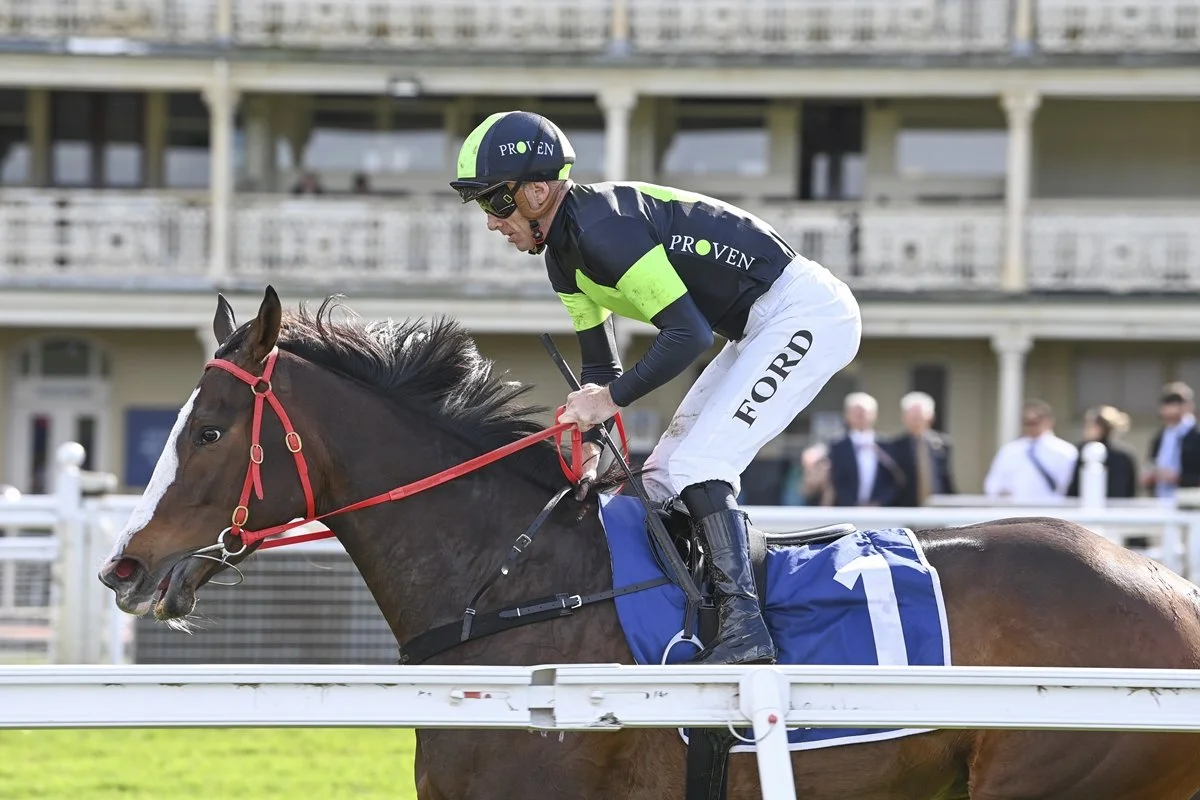 Horses To Follow — Randwick
