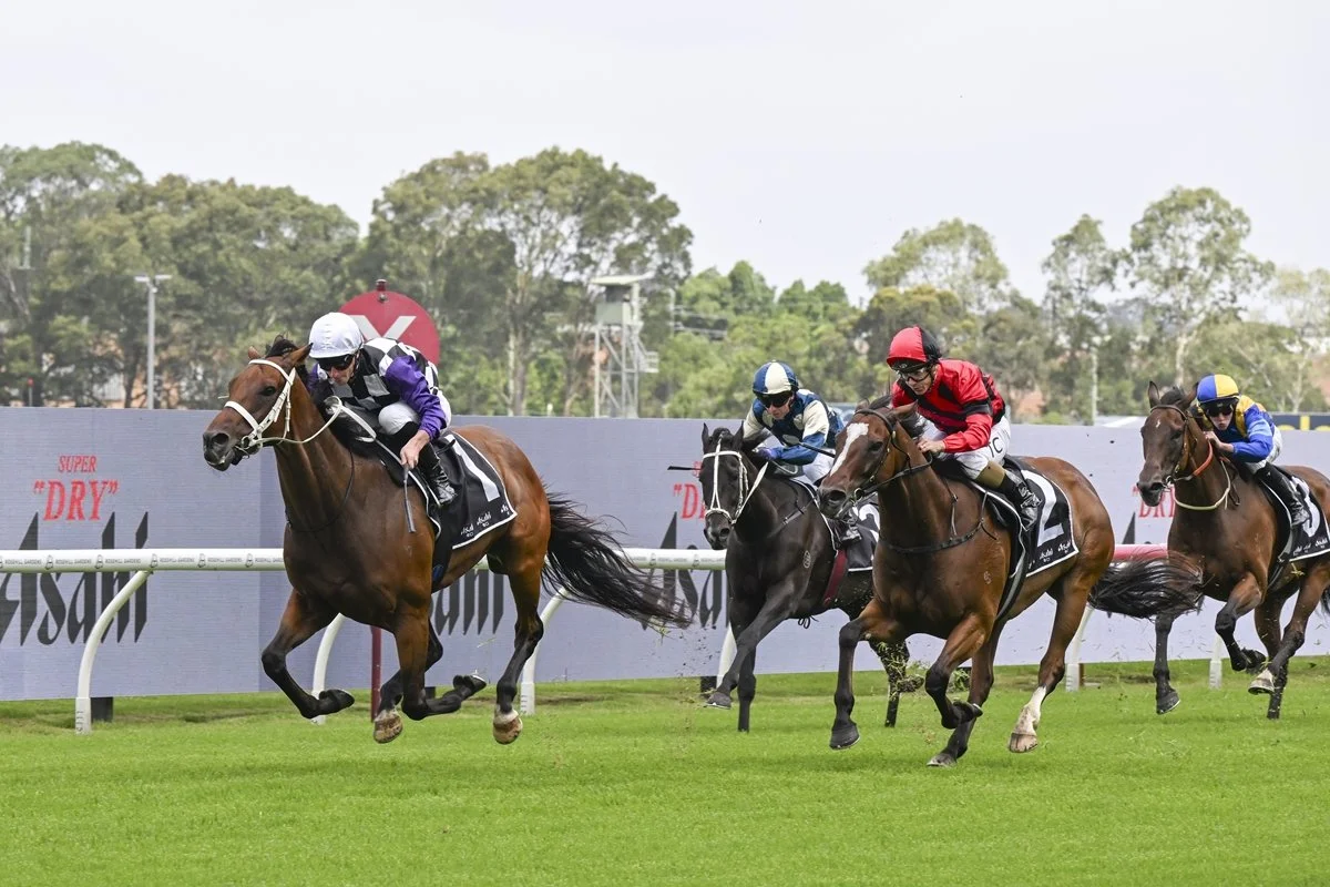 Horses To Follow — Hawkesbury