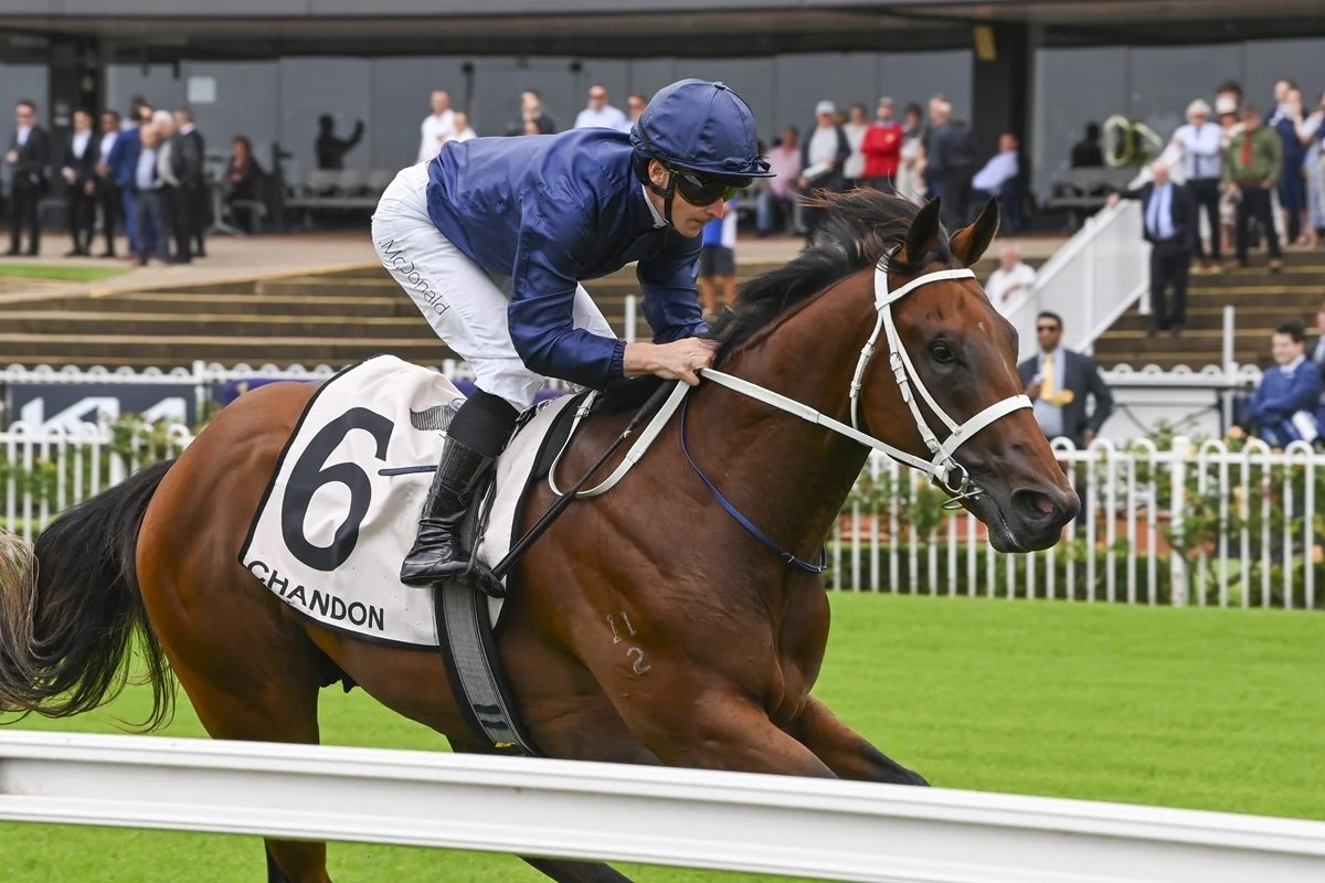 Feature Race Tips — The Goodwood