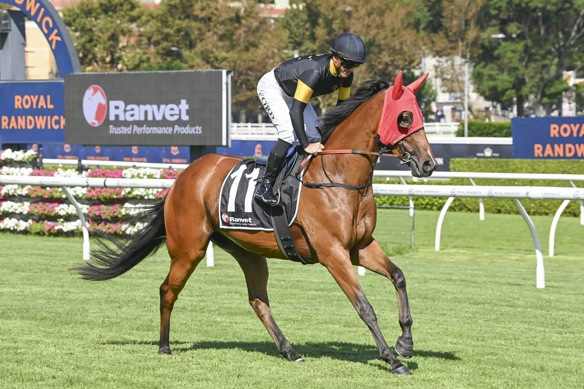 Horses To Follow — Gosford