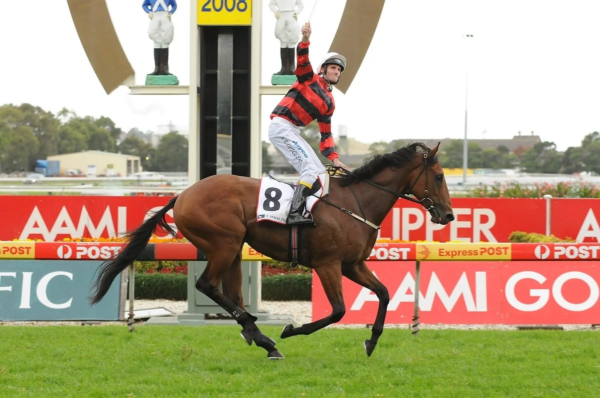 Horses To Follow - Rosehill