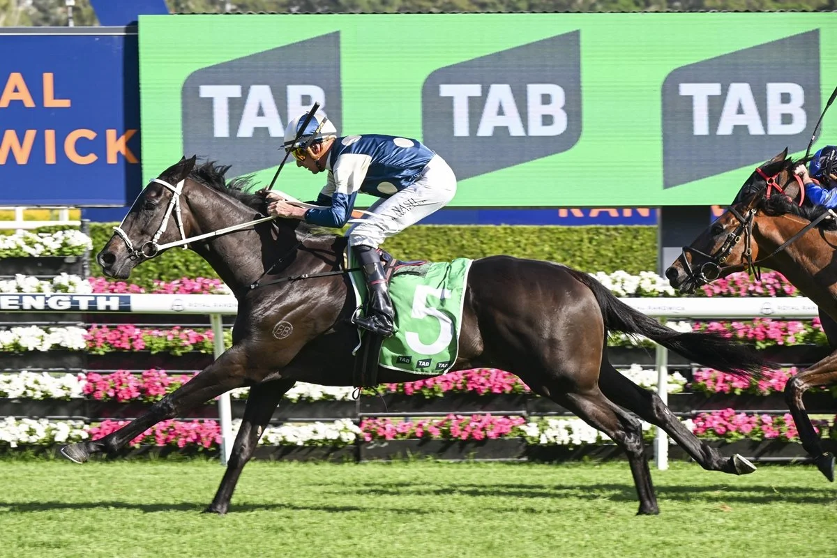 Horses To Follow - Randwick