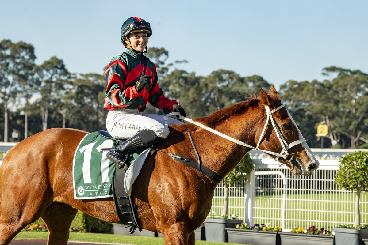 Horses To Follow - Rosehill