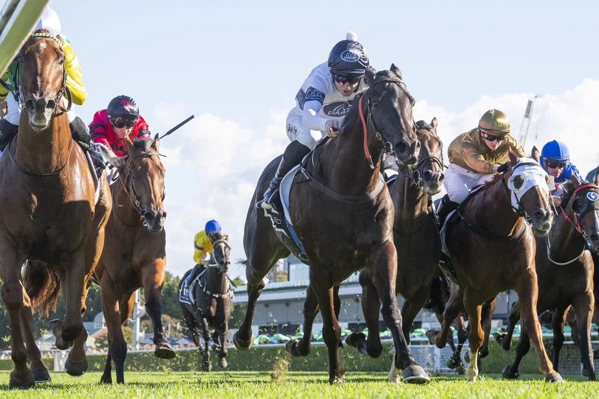 Best Bet &amp; Feature Race Tip - Rosehill