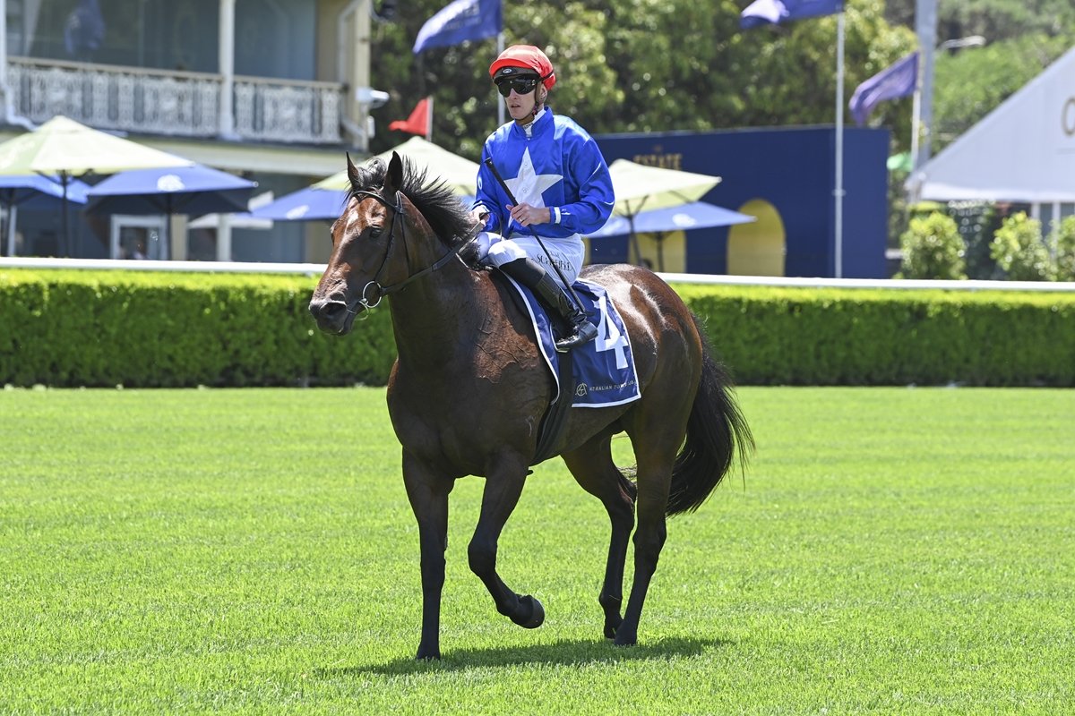 Horses To Follow - Rosehill