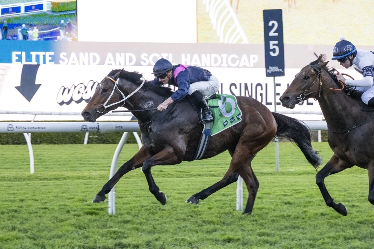 Free Horse Racing Tips - Saturday H2F