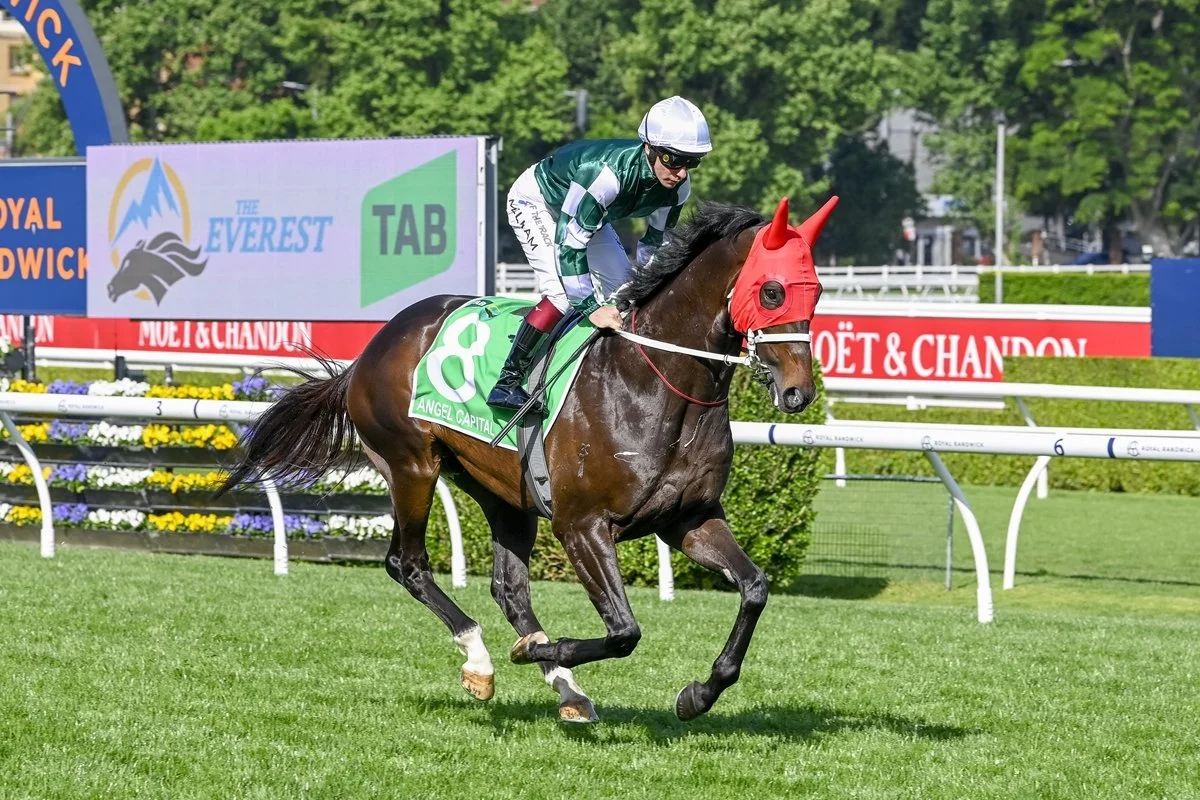 Daily Free Horse Racing Tips - Black Book Randwick