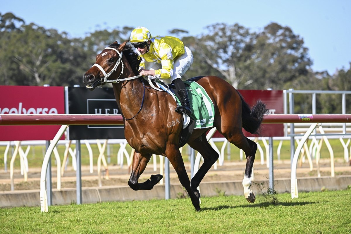 Free Saturday Racing Tips - Rosehill