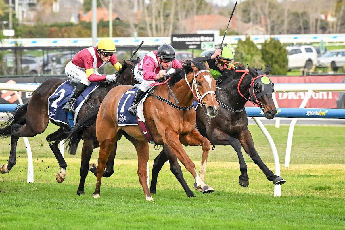 Daily Free Horse Racing Tips - Black Book Rosehill