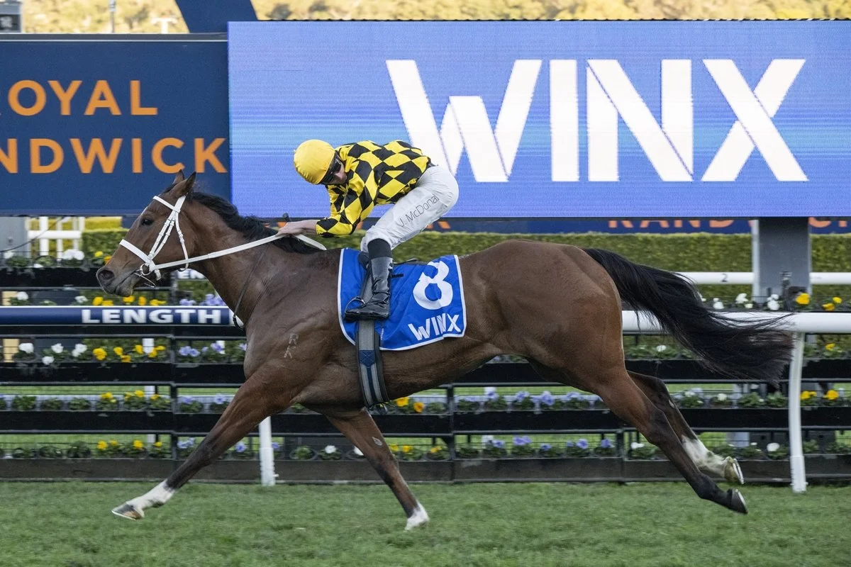 Daily Free Horse Racing Tips - Black Book Randwick