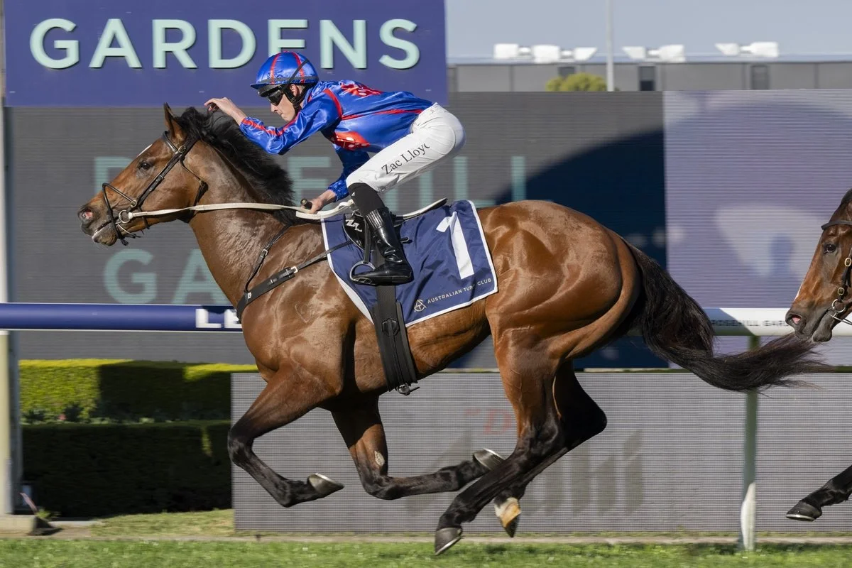 Daily Free Horse Racing Tips - Black Book - Rosehill