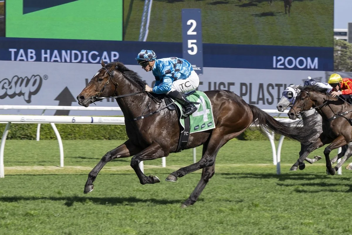 Daily Free Horse Racing Tips - Black Book - Randwick