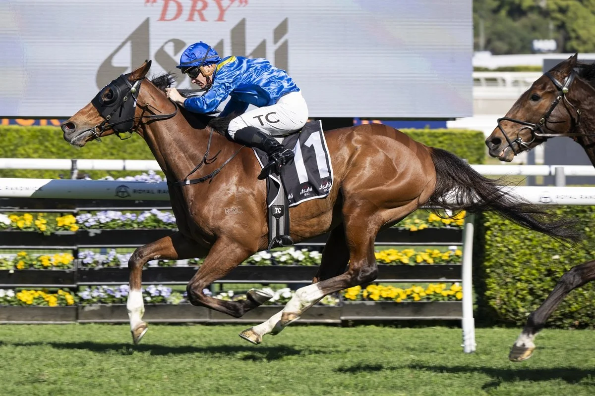 Free Randwick Horse Racing Tips: Black Book Selections &amp; Best Bets