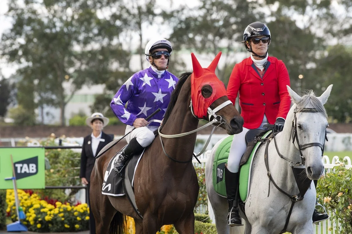 Turnbull Stakes Tips: Why Aeliana Beats Sir Delius