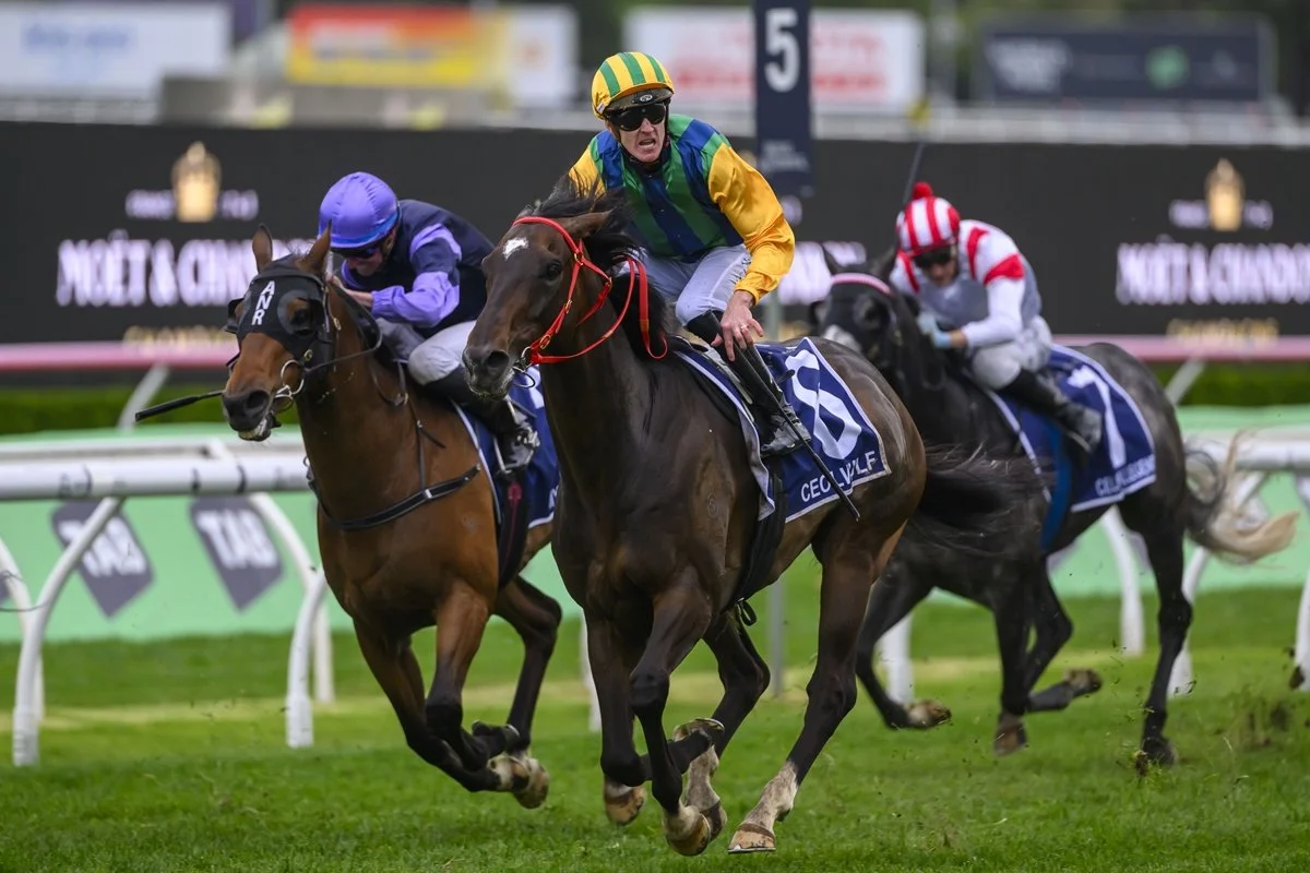 The Epsom Tips: Why Well Written Shouldn't Be Anywhere Near Favourite