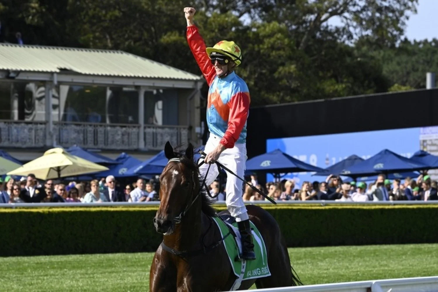 Everest Day Tips 2026: Free Randwick Best Bets for Saturday