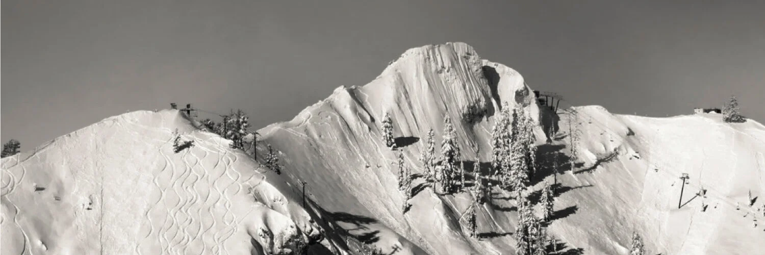 SquawHeaderImage_1500x500.jpg