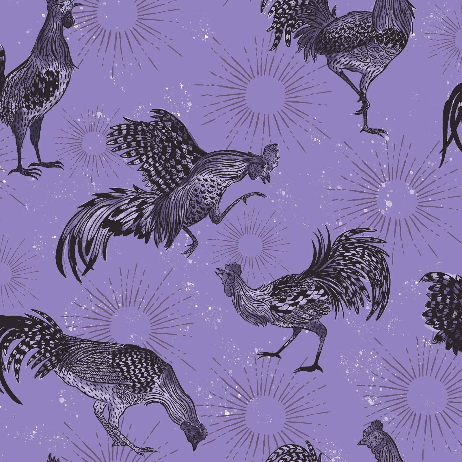 Roosters-2.jpg