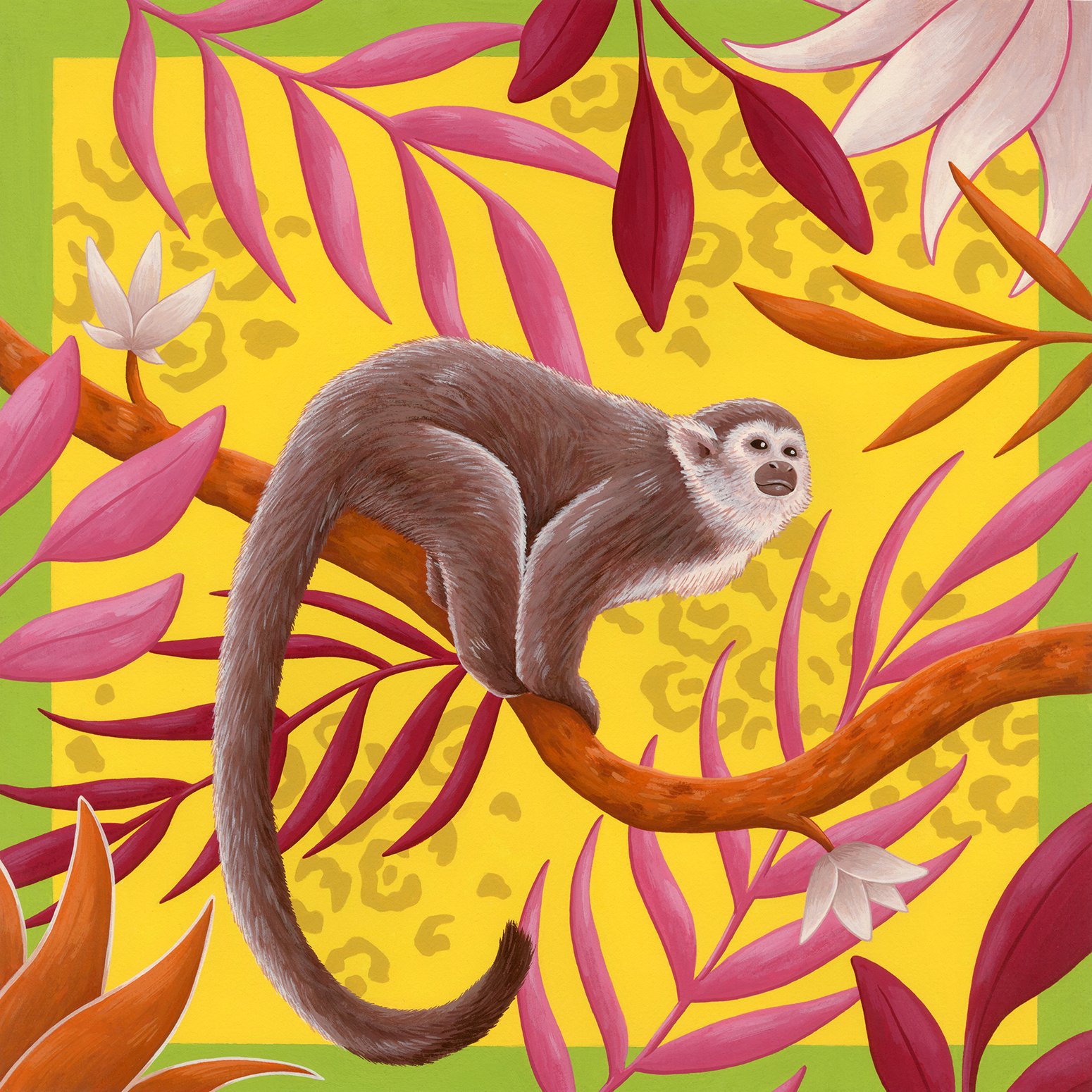 Tropical-Tambopata-6.jpg