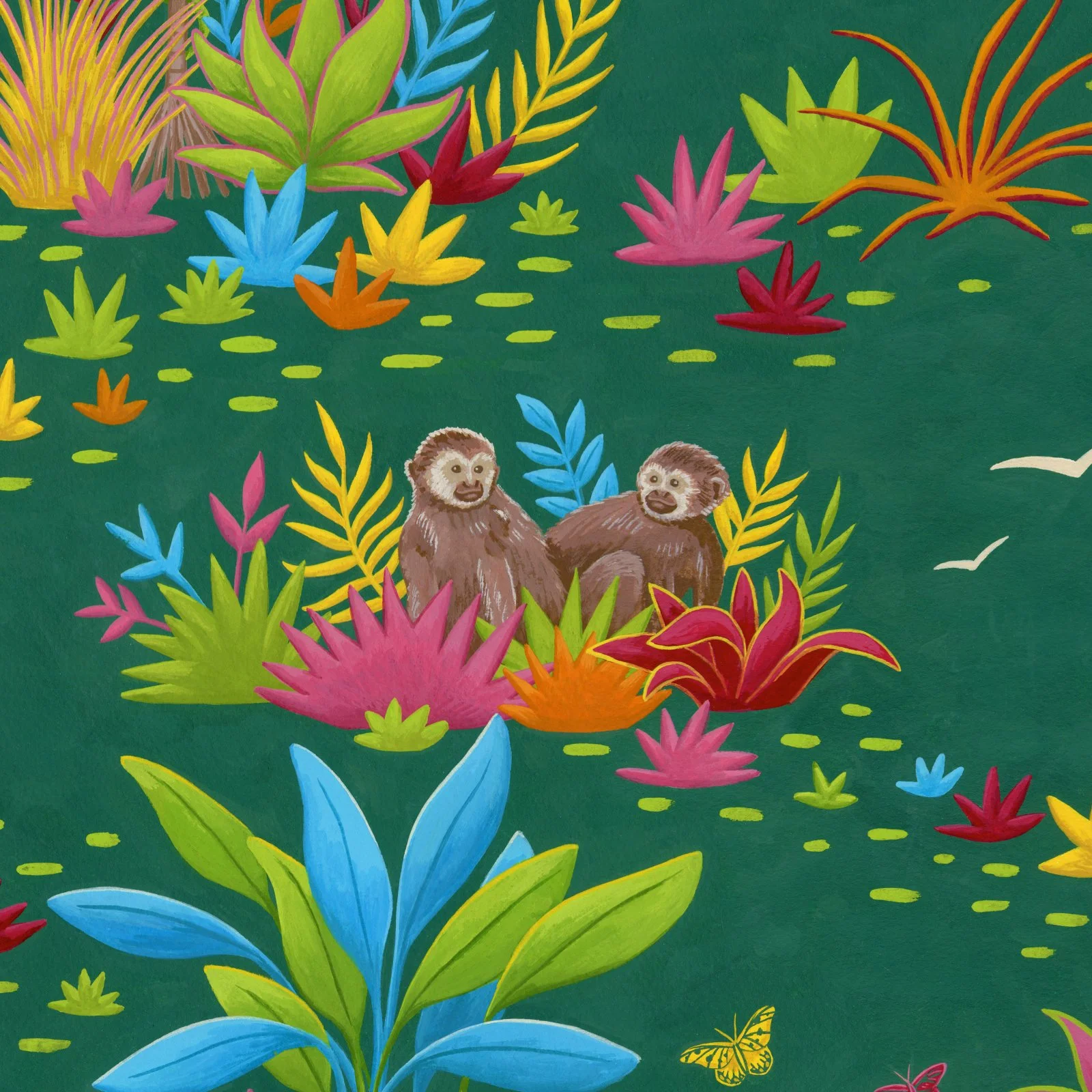 Tropical-Tambopata-10.jpg