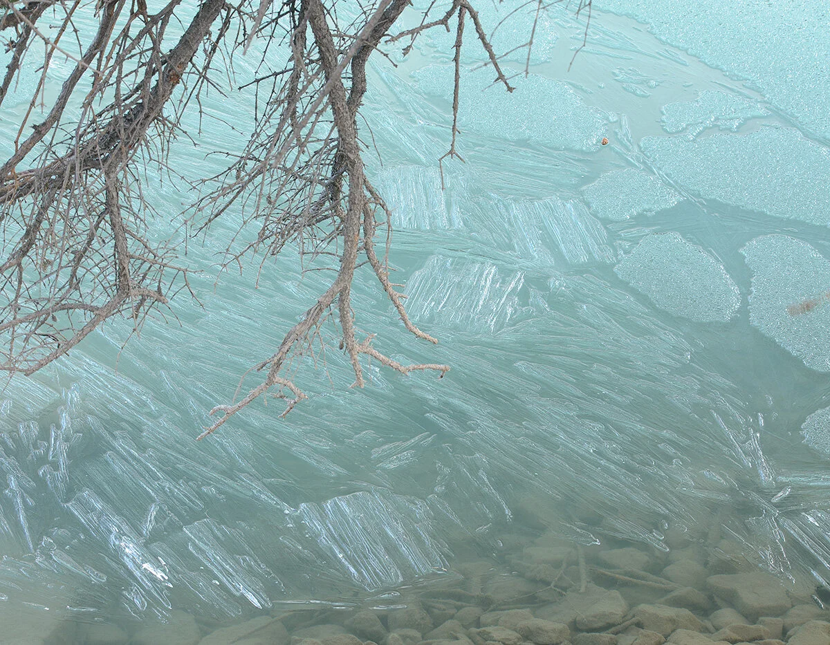 Pressed Landscape #18