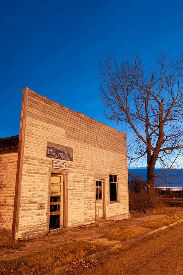  Samantha Chrysanthou 