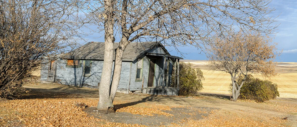  Samantha Chrysanthou 