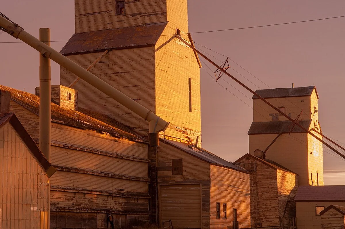  Samantha Chrysanthou 