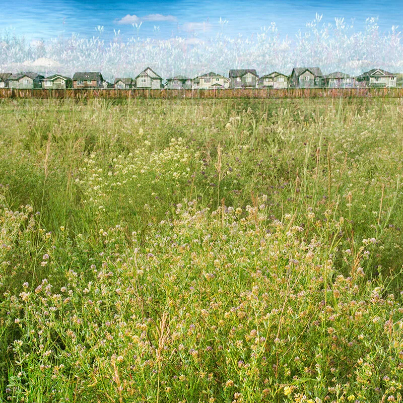 _SAM7780 and SAM7643-square.jpg