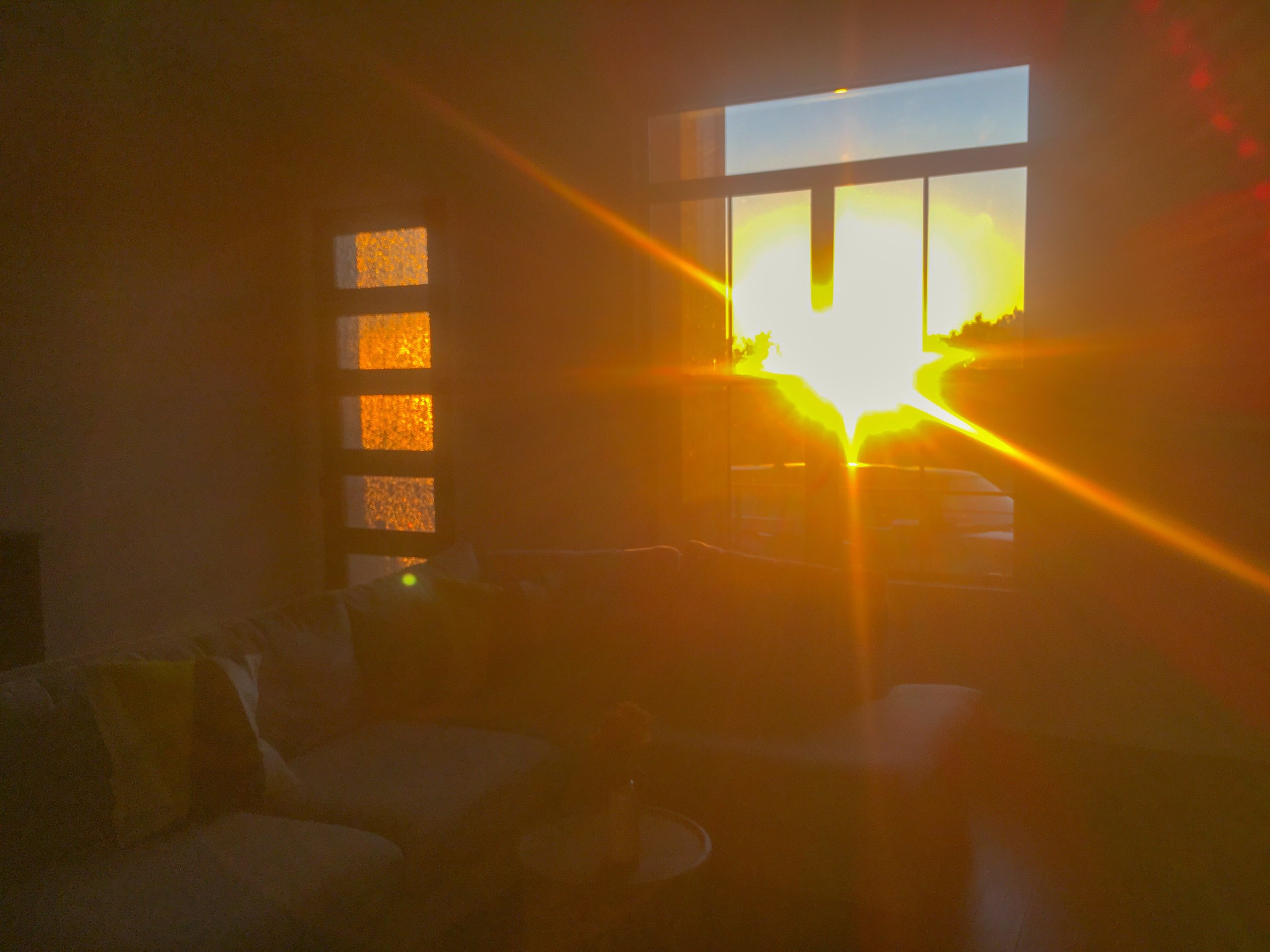 3C682933-7C0C-4DF2-B2E5-D9A8B2BCC2E3.jpeg
