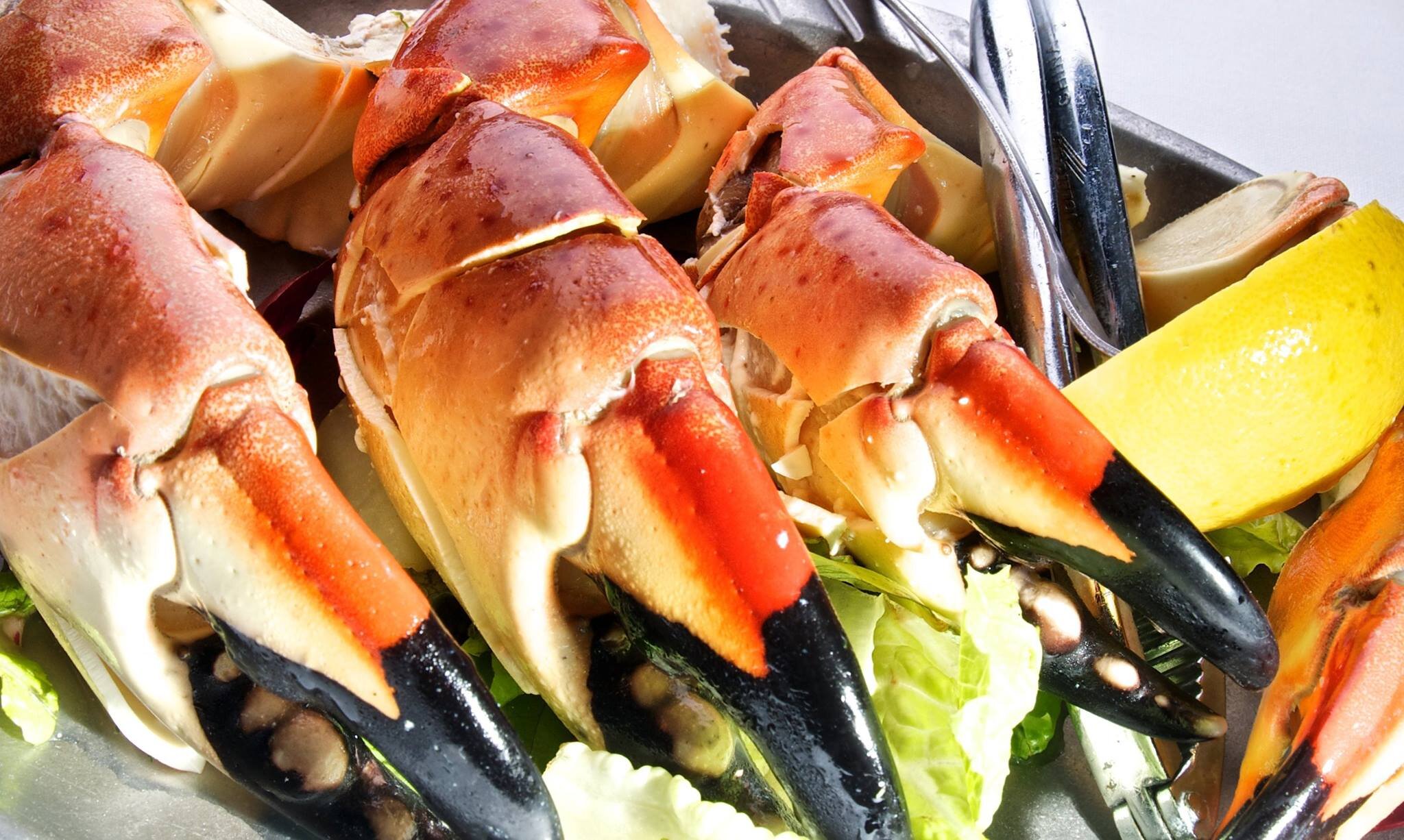 Key_Largo_stone_crabs.jpg