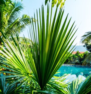 Emotional Benefits of Islamorada Vacation Home Ownership