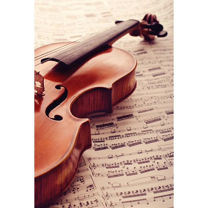 Adult Violin Lesson