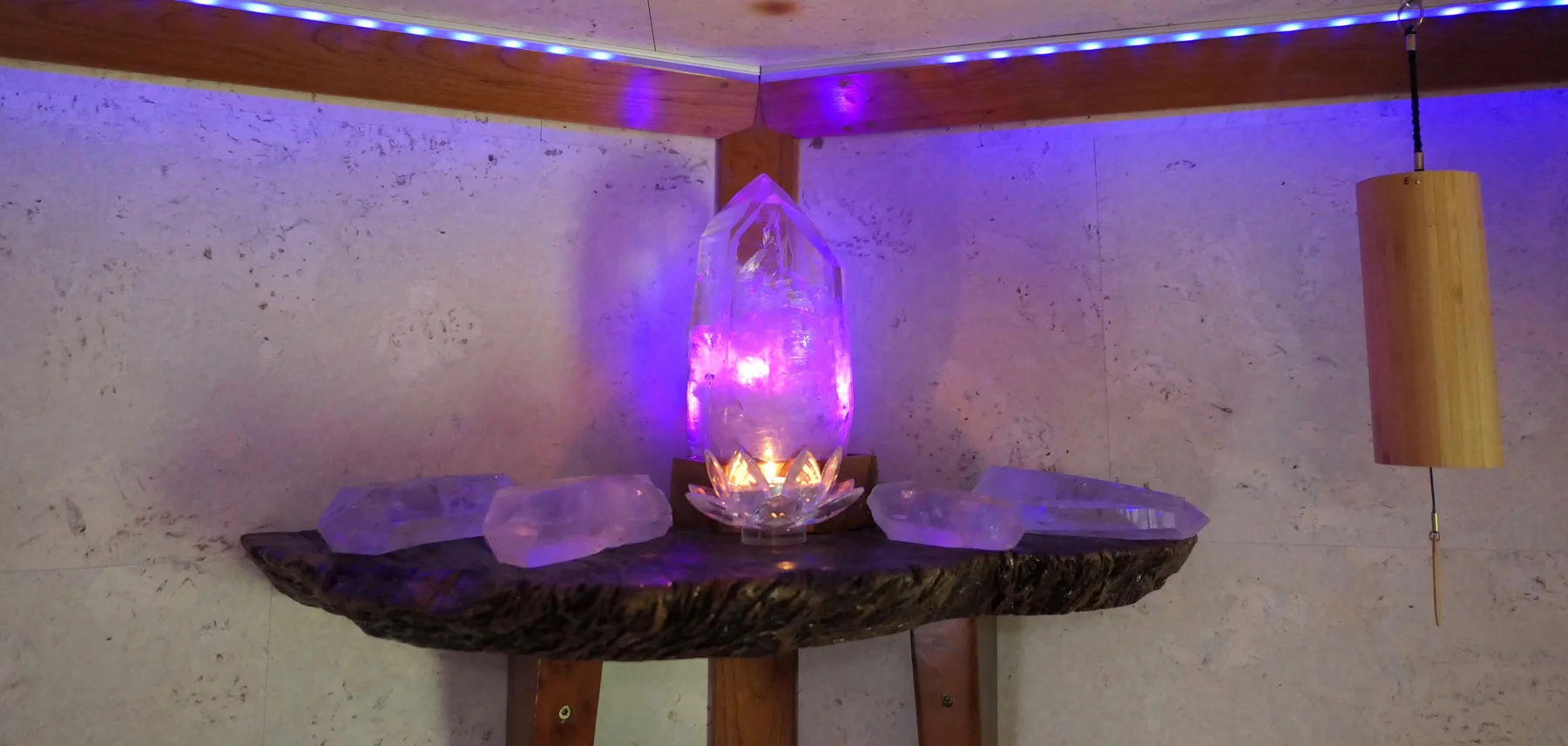 Sensorium