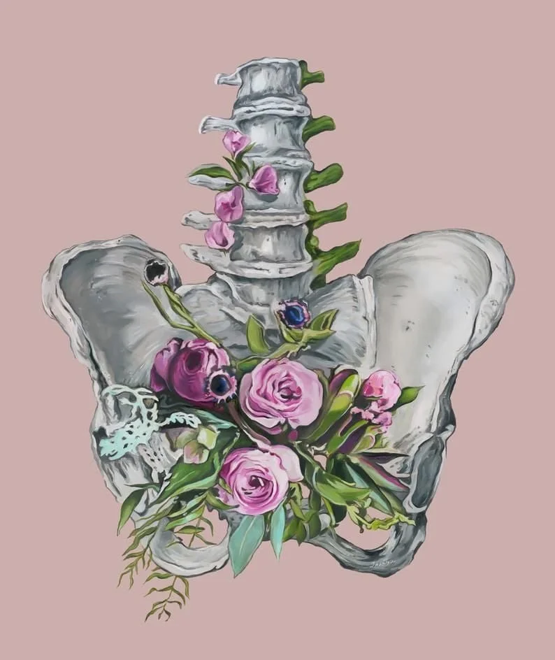 PELVIS FLOWER.jpeg