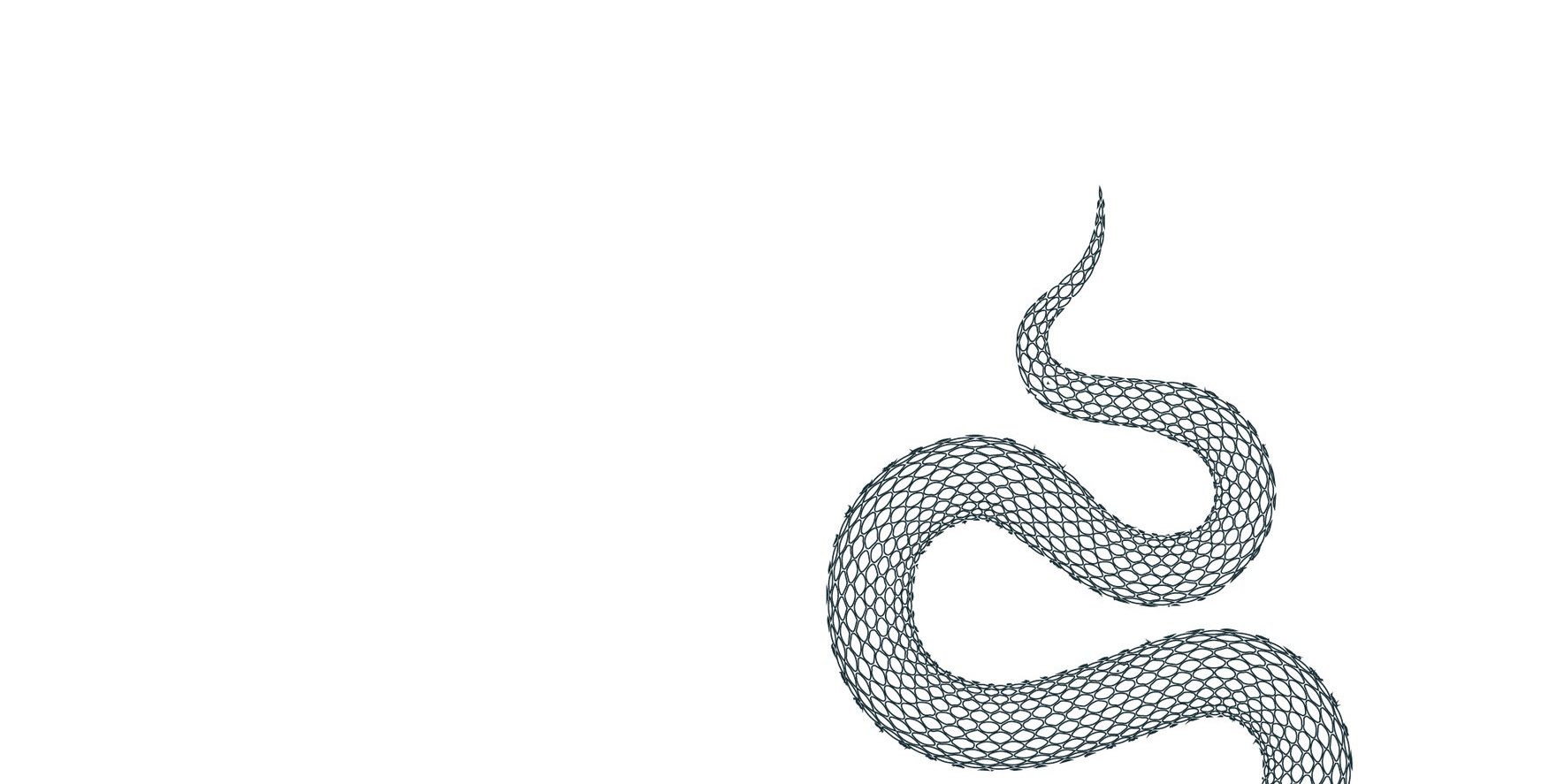 snake_pieces_sm.jpg